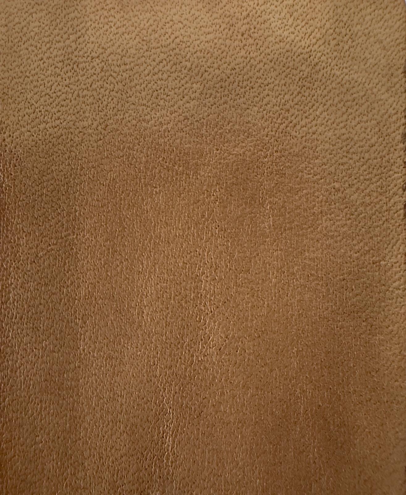 20061-007